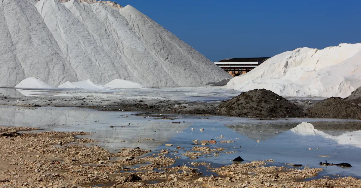 zone umide, saline margherita di savoia puglia